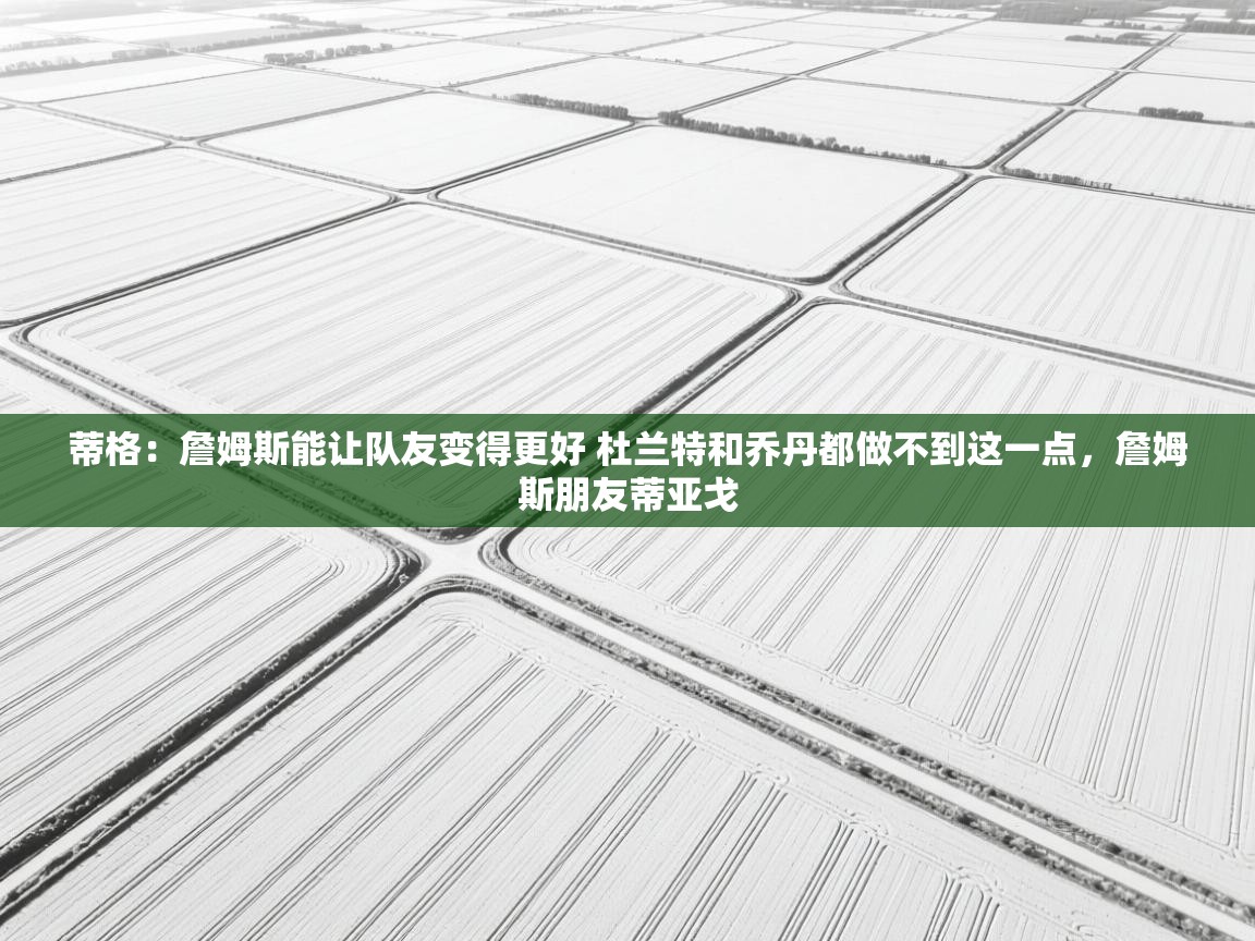 开云体育app评价-蒂格：詹姆斯能让队友变得更好 杜兰特和乔丹都做不到这一点，詹姆斯朋友蒂亚戈  第1张